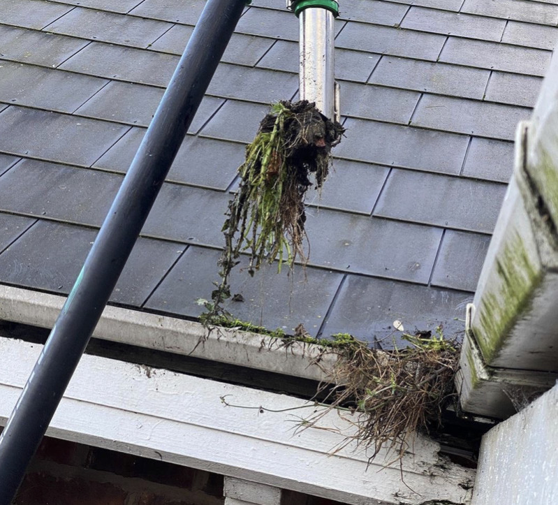 Gutters, facia and soffit clean Coopers Property Care